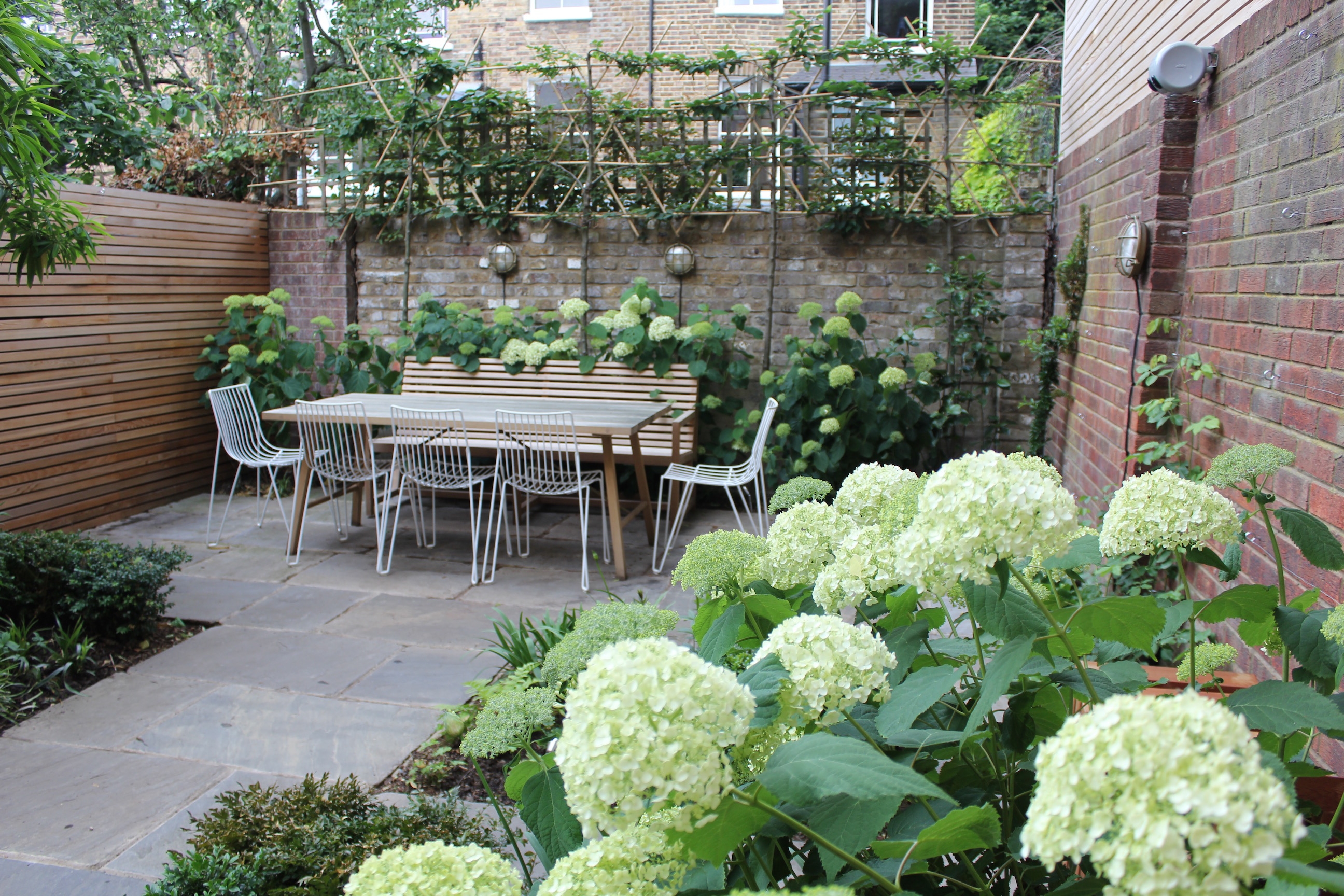 courtyard1 – Alex Mitchell: the Edible Gardener